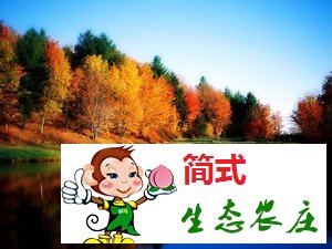 懷柔黃花城水長(zhǎng)城農(nóng)家院