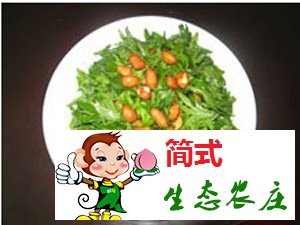 懷柔白河灣農(nóng)家院