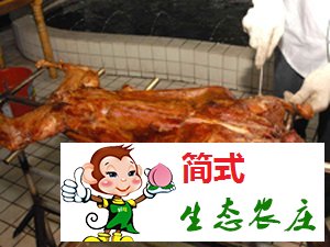 密云古北口農(nóng)家院_古北口長(zhǎng)城農(nóng)家院