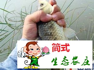 密云捧河灣農(nóng)家院