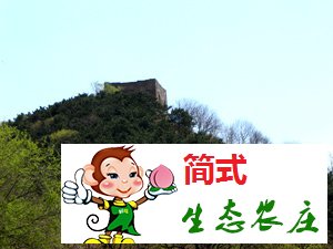 牛鑫楊農(nóng)家院